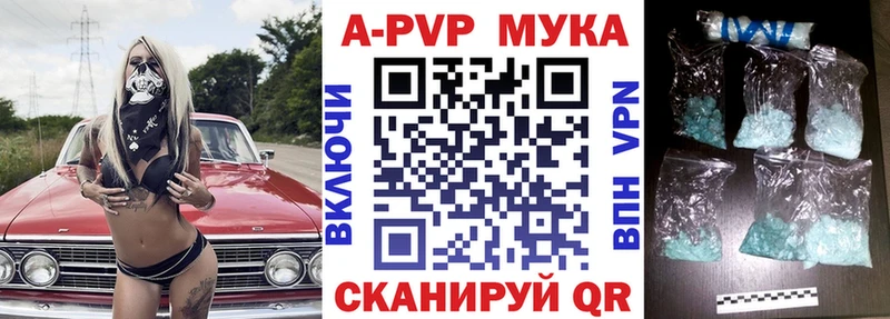 Альфа ПВП СК  Тимашёвск 