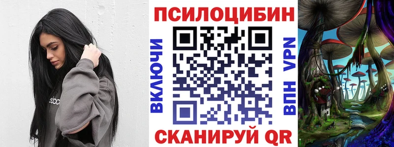Галлюциногенные грибы Magic Shrooms  магазин продажи наркотиков  Тимашёвск 
